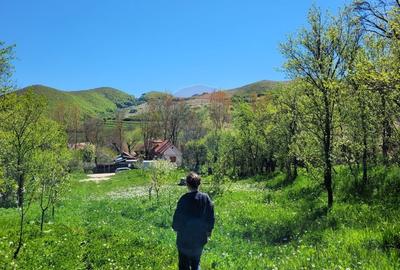 Teren Construcții intravilan de 1271 mp, în Izvoarele (Livezile) - 7