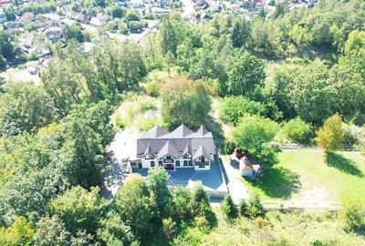 Pensiune de vanzare in Sovata Conacul Cosalina - 5