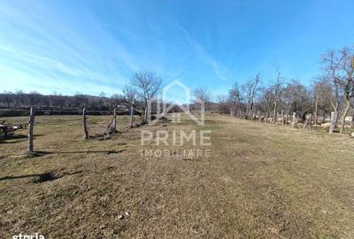 Spațiu comercial, în Pâclișa - 1