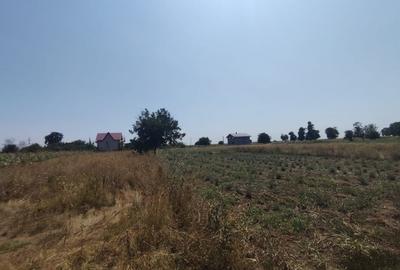 Teren intravilan Ungureni Filipestii de Targ - 3