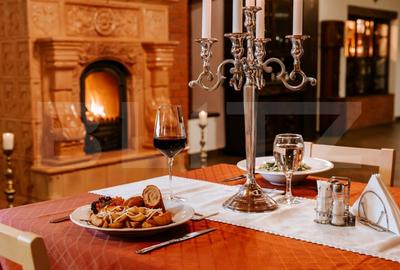 Conac de vanzare 7 camere cu bai proprii, crama, ciubar si potential - 7