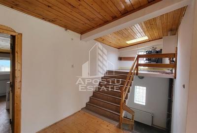 Casa ideala pentru birouri/alte activitati Mehala - 10