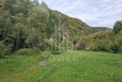 Teren Intravilan de Vanzare 3622 mp Rau Sadului - 1