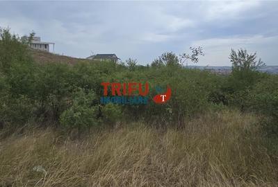 Teren intravilan 4300 mp pretabil parcelare în zonă cu potențial - 2