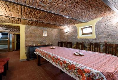 Resedinta cu:foisor,2 garaje, crama tip restaurant+garsoniera lux ... - 48