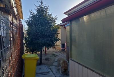 Casă cu 2 camere în Exterior Vest - 5