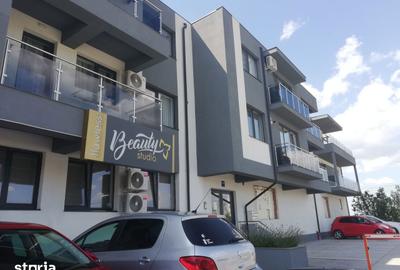 Apartament cu 2 camere în Tunari - 1