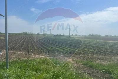 Teren de 6300 mp, în Jorăști - 2