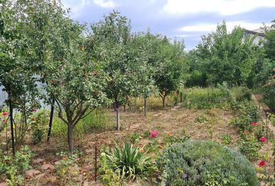 Colentina -Enache Sandu 386mp - 6