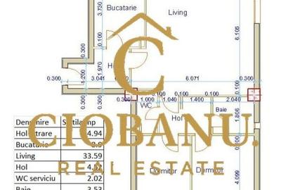 Apartament 3 camere de vânzare zona Calea București-Rotonda - 8