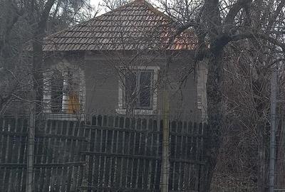 Casă cu Teren 5000 Mp în Jugureni - 1