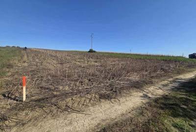 Teren agricol intravilan de 5000 mp, în Mihai Eminescu - 1