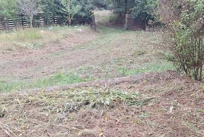 Spațiu comercial, în Central