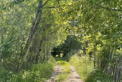 Teren de 1559 mp, în Brebu - 4