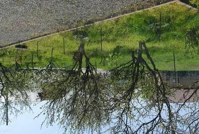 Casă cu 4 camere cu Teren 5800 Mp în Tăuții-Măgherăuș - 3