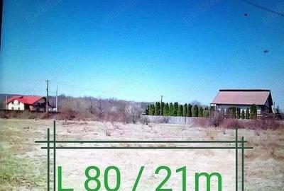 Teren de 1700 mp, în Bascov - 4