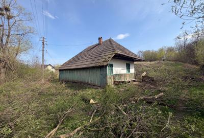 Casă cu 4 camere în Arbore - 4