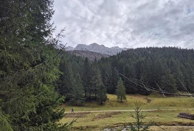 Teren intravilan panoramic 4.600mp,view iconic Piatra Craiului,oportunitate prem - 16