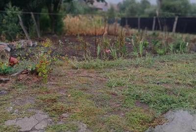 Casă cu 2 camere cu Teren 700 Mp în Saschiz - 2