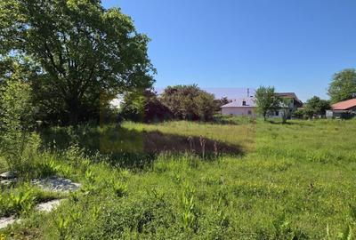 Teren Construcții intravilan de 40679 mp, în Nord-Est - 5
