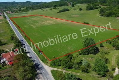 Teren de 69700 mp, în Tigveni - 15