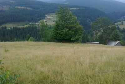 Teren intravilan Arieșeni - 2