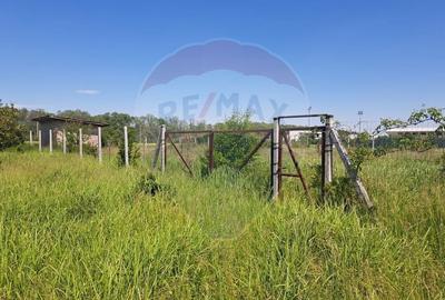 Teren Construcții intravilan de 1064 mp, în Ciolpani