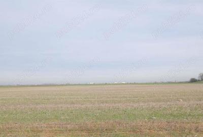 Teren de 270000 mp, în Gherghița - 3