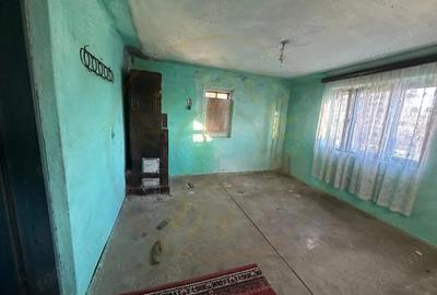 Casă cu Teren 600 Mp în Priboieni - 4