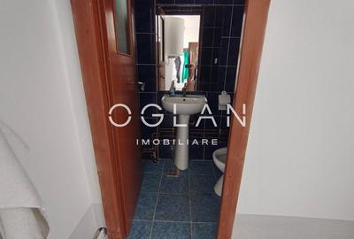 Spatiu comercial 450 mp (P+E)- zona Terezian - 10