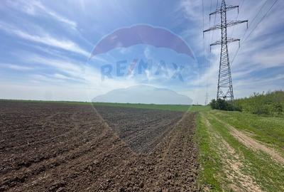 Teren Construcții intravilan de 138104 mp, în Dragomirești-Vale - 4