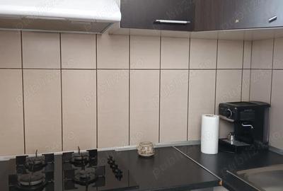 Apartament cu 2 camere decomandat în Brazda lui Novac - 8