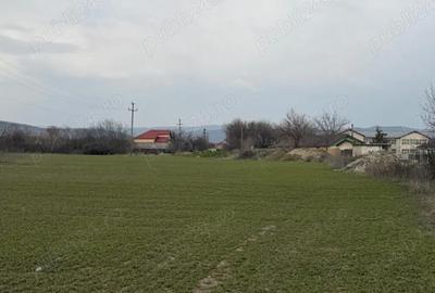 Teren de 10000 mp, în Vernești - 3