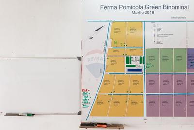 Teren agricol extravilan de 27720 mp, în Vest - 8