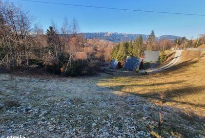 Teren de 6000 mp, în Bran
