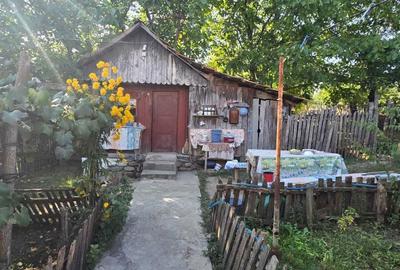 Casă cu 2 camere în Bârseștii de Sus - 6