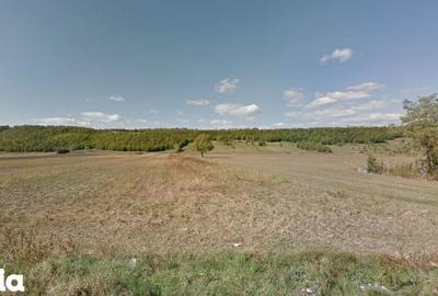 Teren de 2547 mp, în Vălenii de Munte - 4