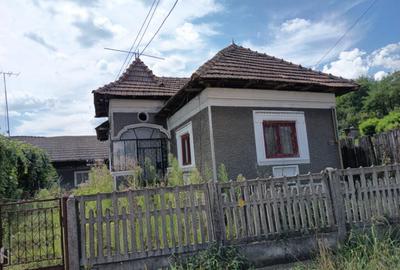 CASA PITOREASCA DE VANZARE BRANESTI - DAMBOVITA