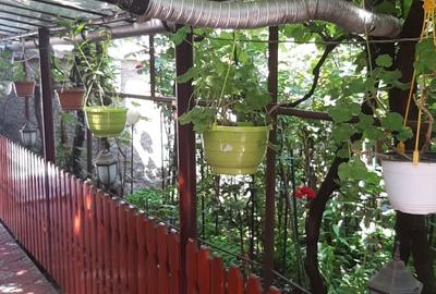 Casă cu 3 camere în Central - 4