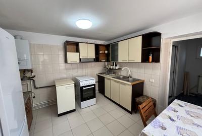 Casă individuală cu 2 camere cu Teren 230 Mp în Coiciu - 9