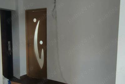 Casa 15 km de Timi?oara de vanzare - 12