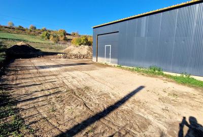 Spațiu comercial, în Cleja - 1