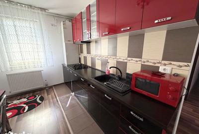 Apartament cu 2 camere semidecomandat, mobilat în Iosefin - 9