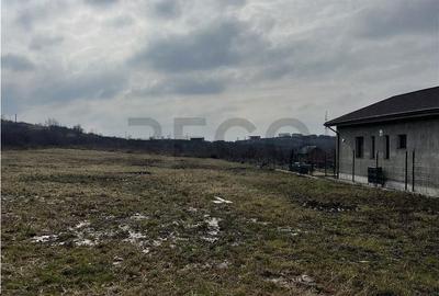 Teren de 1000 mp, în Dealuri Oradea