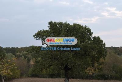 Teren Construcții intravilan de 14000 mp, în Balotești - 1