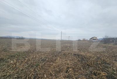 Teren extravilan 9000 mp, Ocna Mures - 2