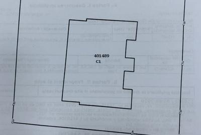 Casă cu 4 camere cu Teren 1307 Mp în Jimbolia - 7