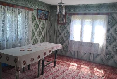 Casă cu 3 camere în Densuș - 2