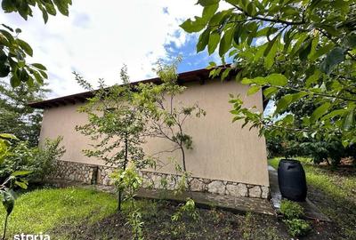 Casă cu 4 camere cu Teren 1420 Mp în Pietroasele - 2