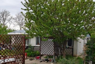 Casa comuna Chiscani, Braila - 2